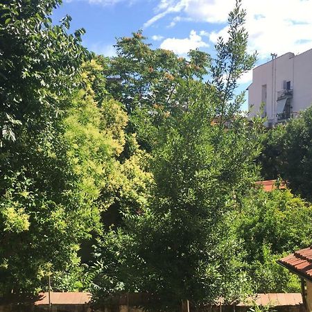 Le Mosse Di Anna Lejlighed Firenze Eksteriør billede